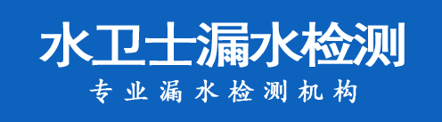 于洪区暗管漏水检测